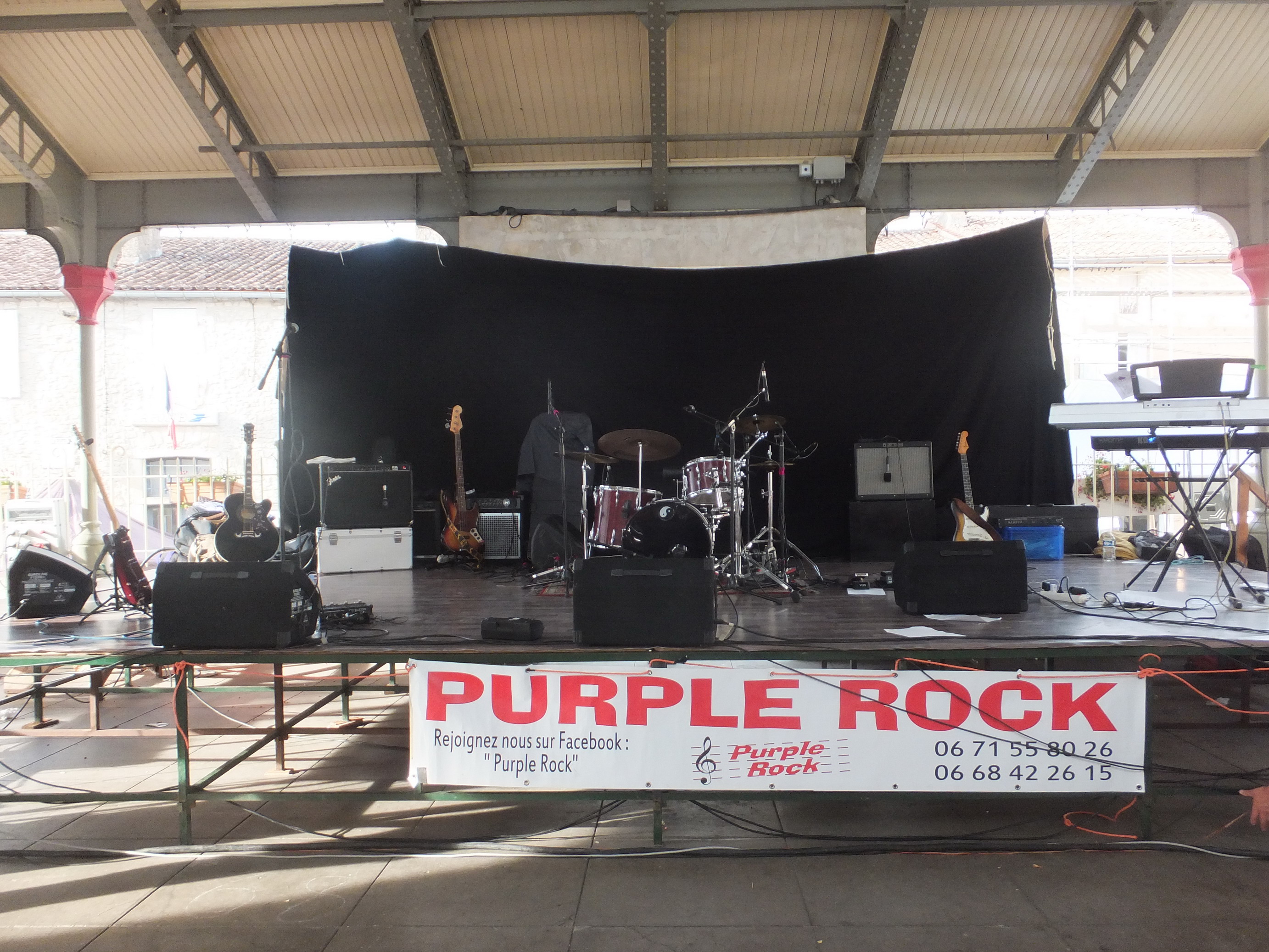 anthem swingers purple rock
